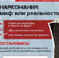 Вместе за здоровое будущее — «НЕТ!» наркотикам!. - Пугачёвский район