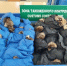 Более 700 шкурок соболя и куницы обнаружили таможенники в почтовых отправлениях - РТВ-Подмосковье
