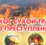 Пожарная безопасность. К чему приводят поджоги травы и сухой растительности. - Город Искитим
