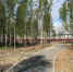 © Комитет городского и дорожного хозяйства - Novgorod.Ru