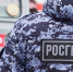 В Заполярном росгвардейцы задержали водителя, управляющего автомобилем без водитетельских прав и документов - Росгвардия