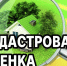 ИЗВЕЩЕНИЕ О ПРОВЕДЕНИИ ГОСУДАРСТВЕННОЙ КАДАСТРОВОЙ ОЦЕНКИ  НА ТЕРРИТОРИИ БЕЛГОРОДСКОЙ ОБЛАСТИ. - Краснояружский район