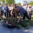 Под звуки оркестра к мемориалу возложили цветы - TltGorod.Ru