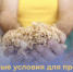 В центре «Мой бизнес» разработана новая финансовая программа для реализации проекта «Бережливый лес Вятки» - Министерство промышленности, предпринимательства и торговли