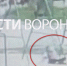 Воронежцам показали момент падения 9-летней девочки с качелей - ГТРК Воронеж