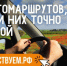 Брянцы могут выбрать маршруты для автопутeшeствий на национальном турпортале - Газета Вперёд