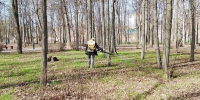 Войну клещам объявили на маршруте Великорецкого крестного хода - Город Киров