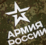Госдума разрешила использовать армию для защиты россиян за границей - ИА Тульская служба новостей