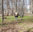 Кировчанам сообщили, какие территории будут обработаны от кровососов - ProGorod.Ru