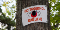 клещи - ГТРК Татарстан
