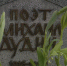 Студенты Ивановского госуниверситета почтили память поэта-фронтовика Михаила Дудина - ГТРК
