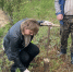 🌿 «Сад памяти»: каждое дерево — символ благодарности 🌿. - Спас-Деменский район