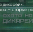 Поделитья во ВКонтакте - Братская Студия Телевидения