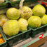 Из Сербии в Калининград под маскировкой продуктов въехали гады - ИА Русский Запад