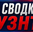 По сводкам УЗНТ. 4-11 мая - Сетевое издание Киришский факел