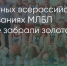 Поделитья во ВКонтакте - Братская Студия Телевидения