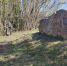 IMG_20260510_101101_270 - OrelTimes.Ru