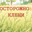 Как не стать жертвой клеща - Министерство спорта
