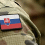 Словакия закрыла погранпереходы с Украиной - M24.Ru