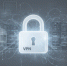 Глава Совета по правам человека признал невозможность полного запрета VPN в России - StolicaOnego.Ru
