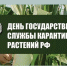 95 лет на страже растений: как карантинная служба защищает тверской урожай - Газета Вся Тверь