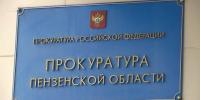 В Пензенской области вынесен приговор по уголовному делу о хищении у матери погибшего участника СВО более 9 млн рублей - Progorod58.Ru
