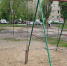 Бастрыкин разберётся в истории с девочкой, сломавшей позвоночник во время прогулки в Воронеже - МОЁ! Online