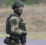 Жителей Соснового Бора предупреждают о военных учениях - 47 новостей