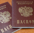 Судимым мигрантам запретят получать российское гражданство - ИА Тульская служба новостей