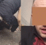 28-летний сторонник терроризма задержан в Новосибирске - Газета Родные берега