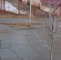 В Магадане +1, +3°C, умеренный ветер - Газета Магаданская правда