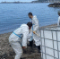 В Туапсе собрано более 27,7 тыс. кубометров замазученного грунта и водомазутной смеси - Smi.Kuban.Info