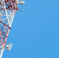 БС_3.jpg - Primorye24.Ru