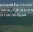 Поделитья во ВКонтакте - Братская Студия Телевидения