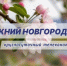 Программа передач телеканала “Нижний Новгород 24” на 14 мая - ГТРК Нижний Новгород