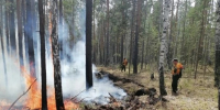Лесной пожар потушили в Нижнеилимском районе - Weacom.Ru