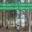 В Усть-Илимске проводится обработка территорий от клещей - Ilim24.Ru