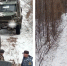 В Приамурье возбуждено уголовное дело в отношении руководителя компании, проложившей дорогу через заказник - Asn24.Ru