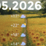 Bazaart_B2E9F0D7-1541-41EC-BFF7-256A0E08D751 - ЗА Новомосковск