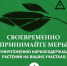 Барнаульцам напоминают об ответственности за выращивание на участках наркосодержащих растений - Администрация г. Барнаул