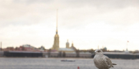 В Петербурге в четверг, 14 мая, станет прохладнее и пройдут дожди - Петербургский дневник