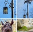 фонари - OrelTimes.Ru