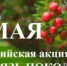 Всероссийская акция «Сад — Связь поколений» - Министерство культуры