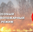 Фото: МЧС - GoBalakovo.Ru