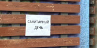 Фото: News29 - News29.Ru