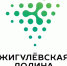 Лаборатория Наставничества 11 июня 2026 Самарская область Технопарк Жигулевская долина. - Администрация Красногорского района