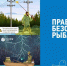 «Костромаэнерго» напоминает о недопустимости рыбной ловли в охранных зонах ЛЭП - Kostroma.Today