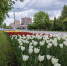 Железногорская администрация ищет инвесторов - Zhel.City