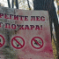 На территории Саратовской области с 15 мая введут особый противопожарный режим - Газета Репортер