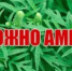 Информация по борьбе с амброзией полыннолистной - Веселовский район